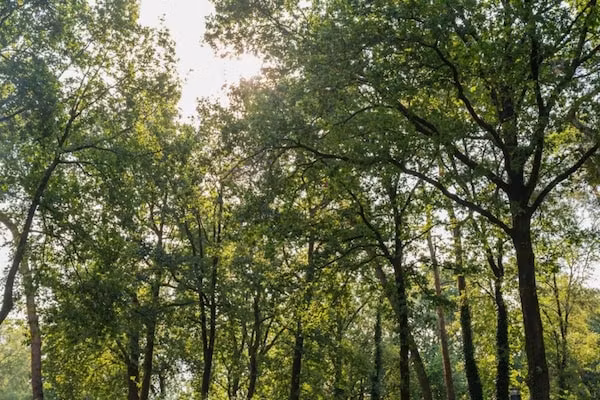 Bungalowpark Hoenderloo 3 in Hoenderloo - Foto 40 van 40