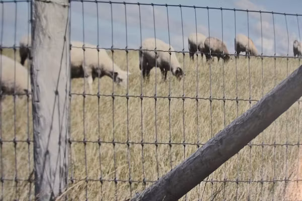 Zeedijk I in Tzummarum - Foto 40 van 40