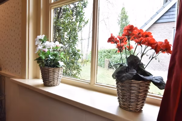 De Merel in Den ham - Foto 40 van 40