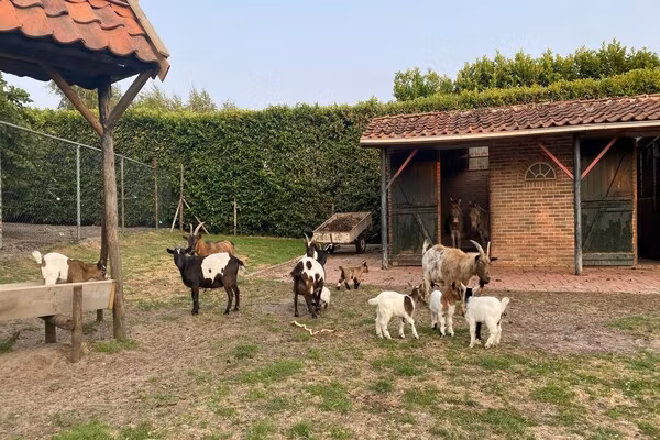 Pipowagen de Weideblick in Bergen op Zoom - Foto 43 van 43