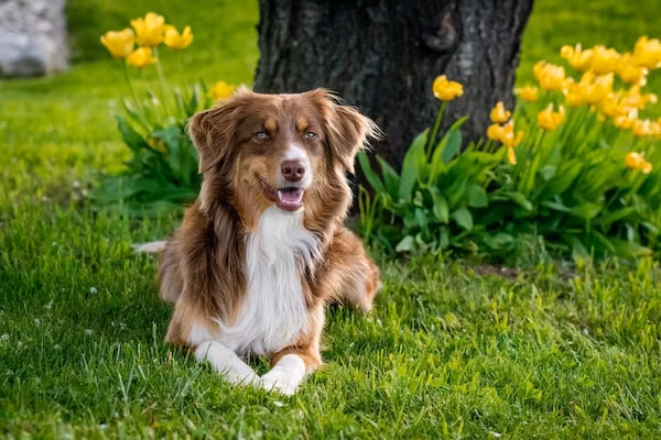 Hof van Salland 5 in Hellendoorn - Foto 35 van 35