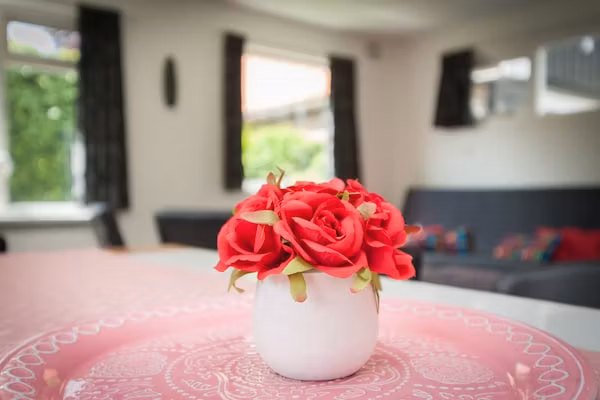 Huize Elja in Groet - Foto 40 van 40