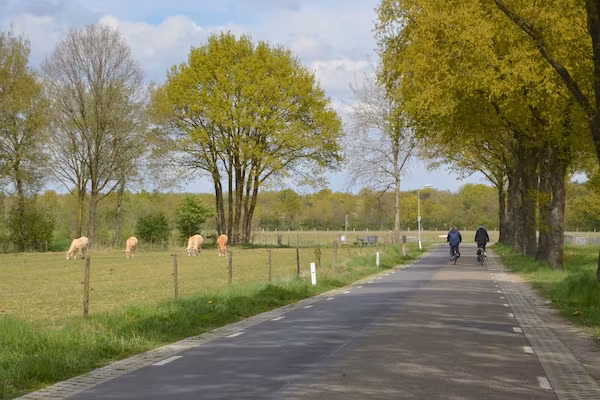 Anjer Bungalow 61 in Stramproy - Foto 39 van 39