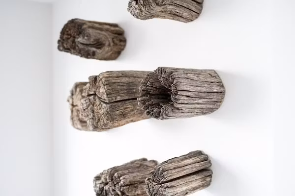 Havenweg 8 in Kamperland - Foto 40 van 40