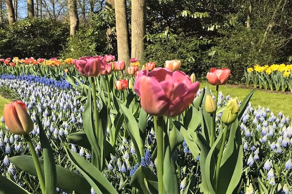 Scheveningen Harbour 22 in Scheveningen - Foto 38 van 38