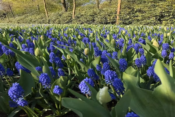 Scheveningen Harbour 66 in Scheveningen - Foto 40 van 40