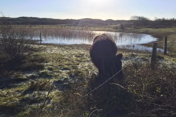 Kustpark Texel 10 in De Koog - Foto 40 van 40