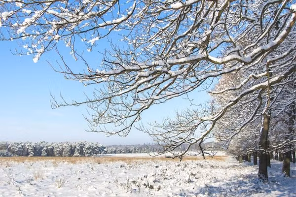 RCN de Jagerstee 3 in Epe - Foto 40 van 40
