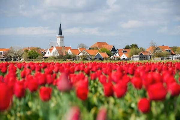 Het Wambuis in Den Hoorn- Texel - Foto 38 van 38