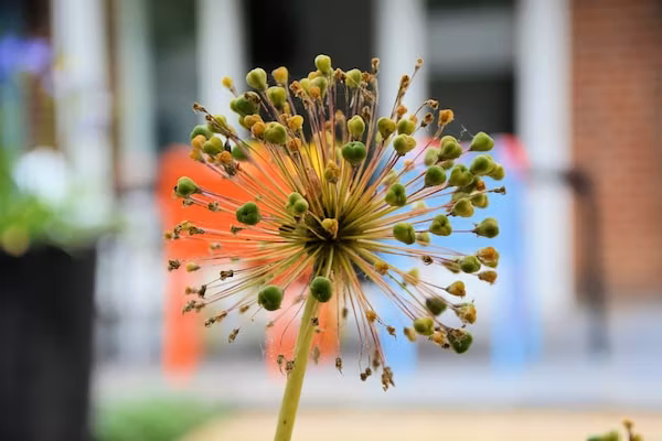 Meer & Zee in Noordwijkerhout - Foto 40 van 40