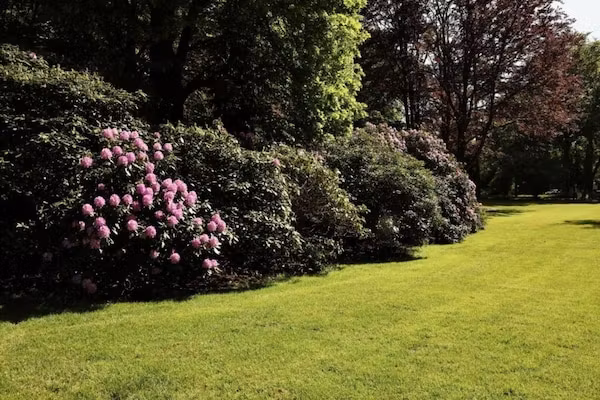 Vakantiepark De Lochemse Berg 1 in Lochem - Foto 40 van 40