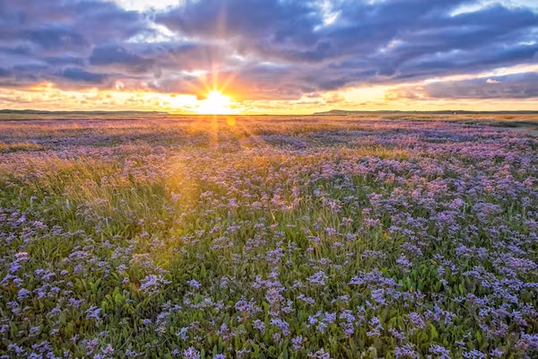 So What 41 in De Koog Texel - Foto 34 van 34