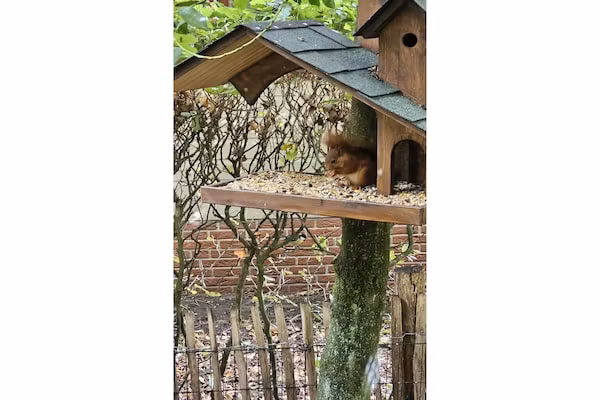 Huisje 37 in Stegeren - Foto 38 van 38