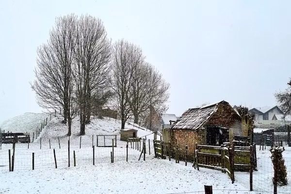 Zoutelandseweg 2 Biggekerke in Biggekerke - Foto 34 van 34