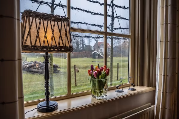 Vakantiewoning - Oranjezon 4p in Vrouwenpolder - Foto 2 van 22