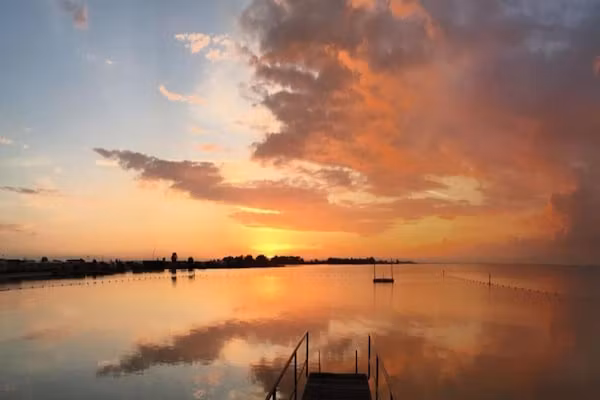 Boot Zonder Naam in Volendam - Foto 40 van 40