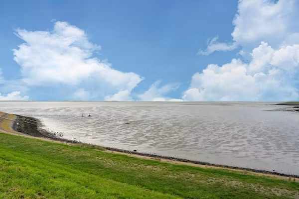 De Kokmeeuw Huis Nr 11 in Scherpenisse - Foto 40 van 40