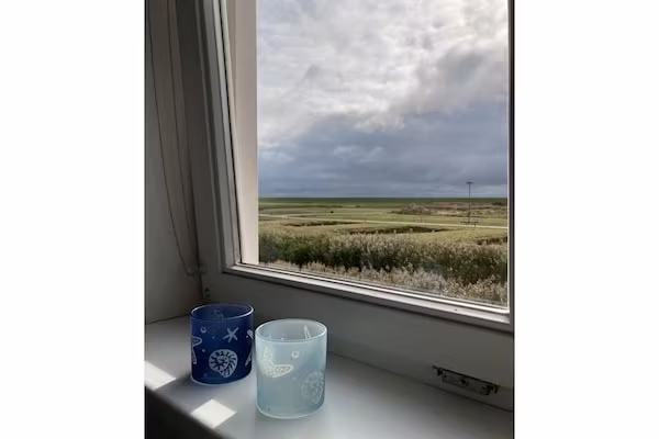 De Zeemeeuw Huis Nr 54 in Scherpenisse - Foto 40 van 40