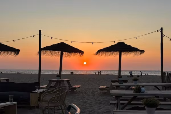 Lepelblad 7 in Nieuwvlietbad - Foto 42 van 42