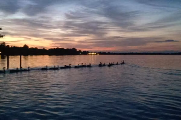 Vakantiepark Giethoorn 10 in Giethoorn - Foto 40 van 40