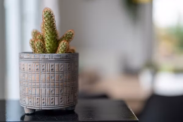 Scheldeoord 70 in Baarland - Foto 40 van 40