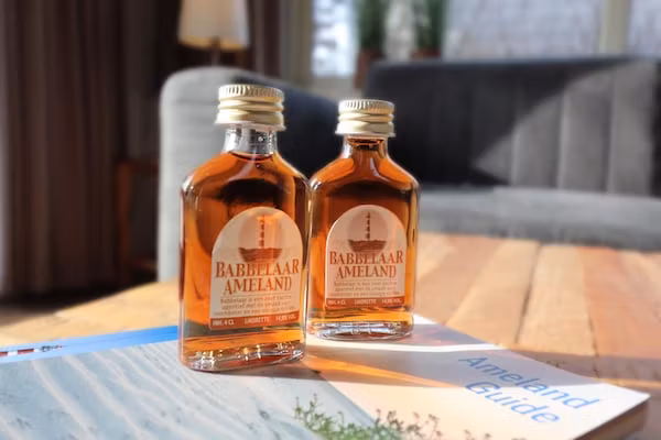 Duinchalet C007 in Hollum - Foto 22 van 22