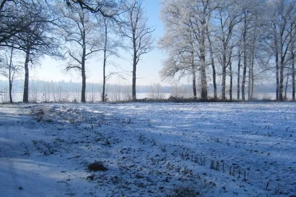 Koe in de Kost 4 in Heeten - Foto 40 van 40