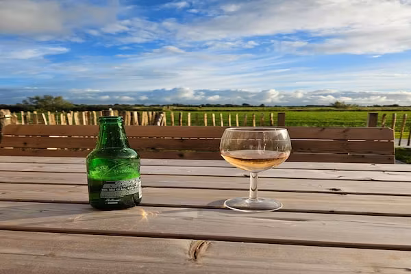 Friese Villa 7 in Leons in Leons - Foto 40 van 40