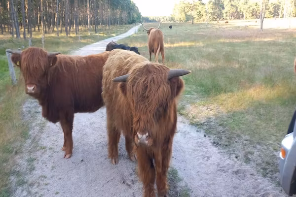 Luxe vakantiehuis Veluwe met Wellness in Veluwe - Foto 31 van 31