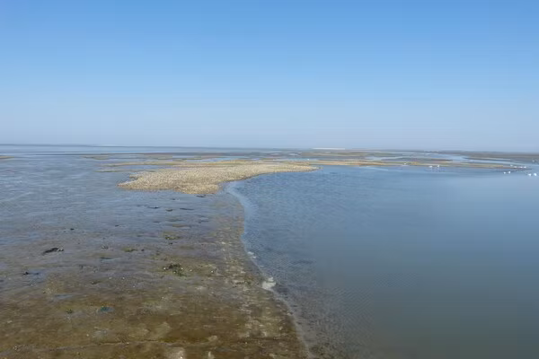 13-17 pax holiday home with separated apartments and gardens in Ternaard - Foto 37 van 37