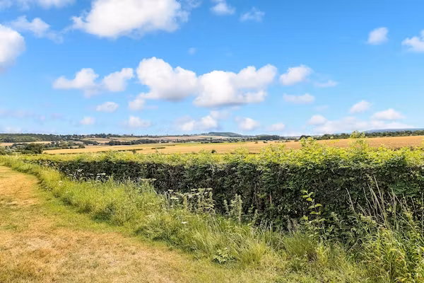 Vakantiepark Reevallis 6 in Vijlen - Foto 20 van 20