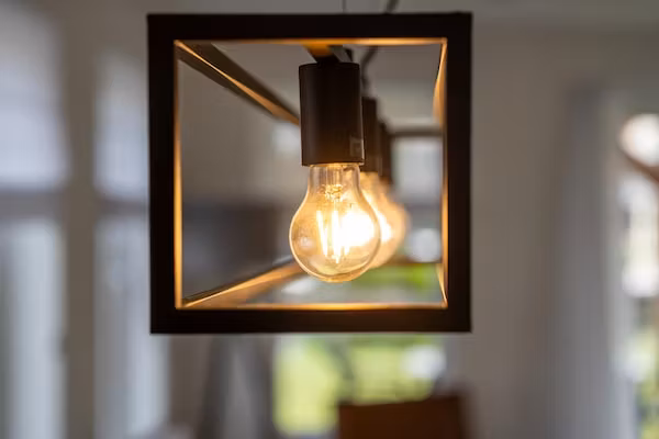 Kuifduiker 115 in Simonshaven - Foto 40 van 40