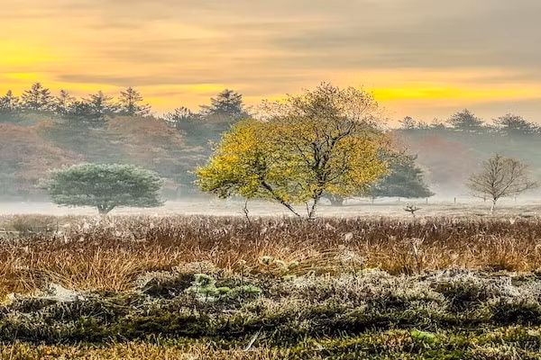 De Riek 4P in De Kiel - Foto 1 van 32