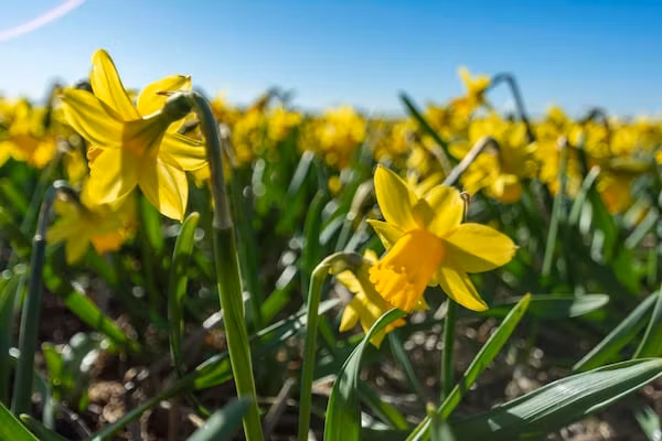 Strandleven 006 in Groote Keeten - Foto 23 van 23