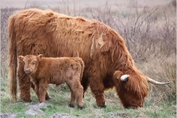 Strandslag 189 in Julianadorp aan Zee - Foto 34 van 34