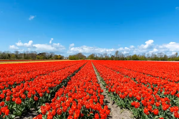 Strandhuis Uitwaayer in Sint Maartensvlotbrug - Foto 27 van 27