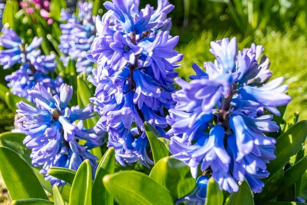 Sandepark 165 in Groote Keeten - Foto 24 van 24