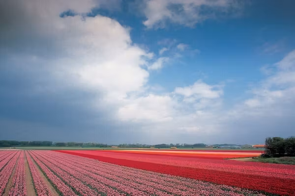 7118 in Egmond (Egmond) - Foto 24 van 24