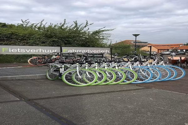 Schoneveld 146 Zeemeeuw Breskens in Breskens - Foto 38 van 38