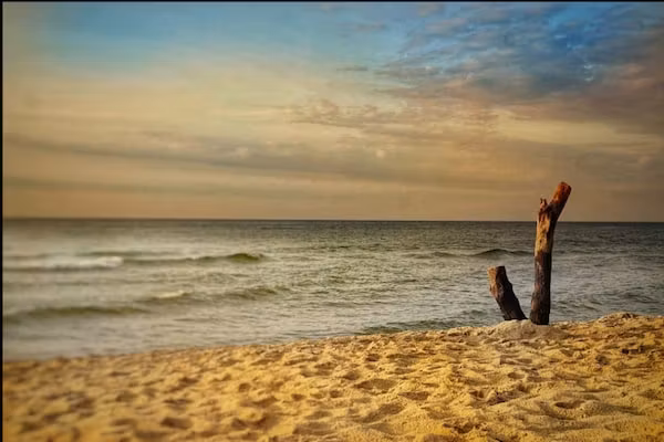 Schoneveld 147 Duinroos Breskens in Breskens - Foto 40 van 40