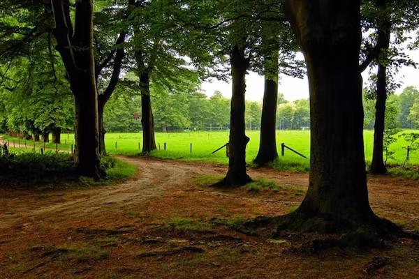 Boerderijchalet nr1 in Sint Nicolaasga - Foto 40 van 40