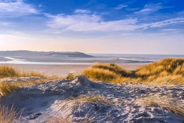 520683 in de koog - Foto 16 van 16