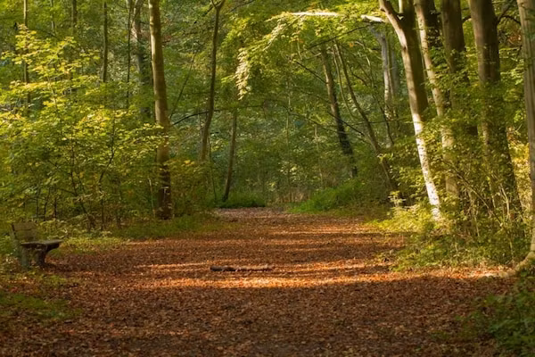 Delft 1B in Den Haag - Foto 40 van 40