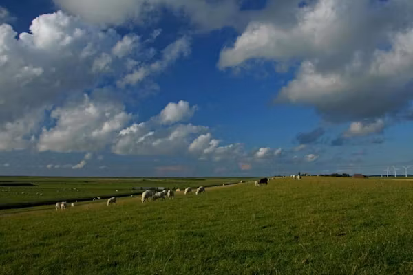 VT 103 in Tzummarum - Foto 40 van 40