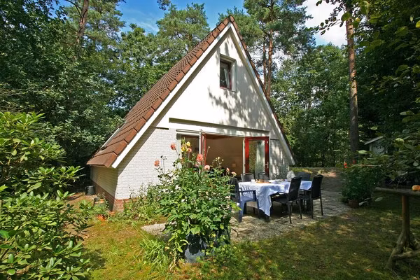 Kleine Vos in Nunspeet - Foto 1 van 38