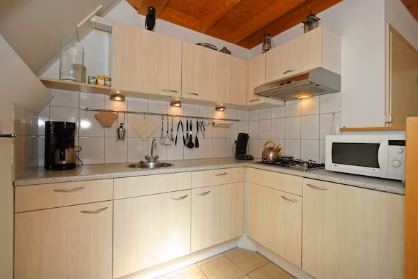 Kleine Vos in Nunspeet - Foto 2 van 38