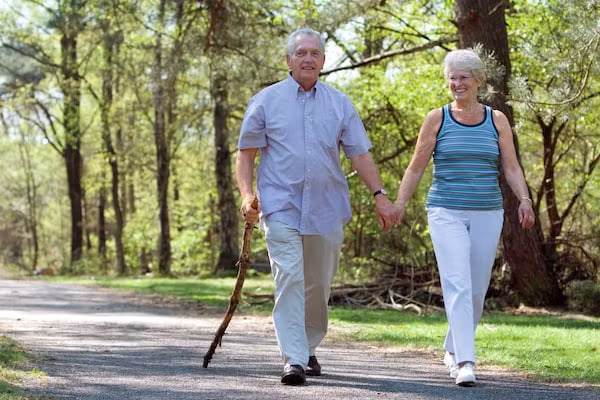 Vakantiepark de Berkenhorst 7 in Kootwijk - Foto 15 van 15