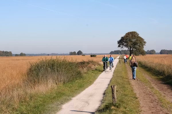 Marke van Ruinen 3