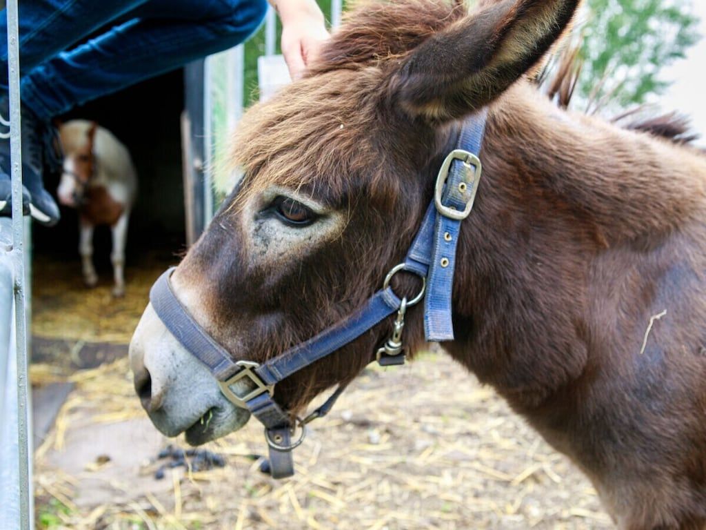 561855 in Goudriaan - Foto 17 van 30
