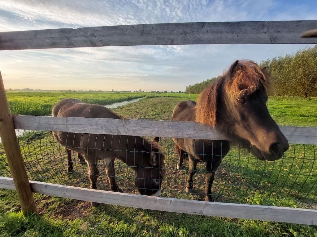 561855 in Goudriaan - Foto 20 van 30